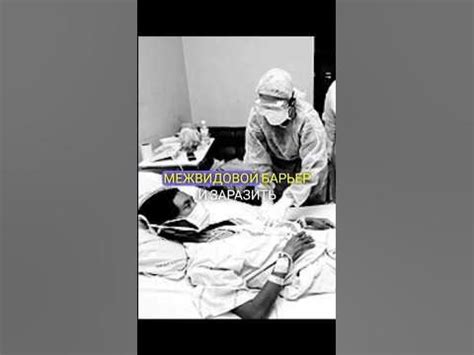 Зомби олени существуют #facts #история #youtubeshorts - YouTube