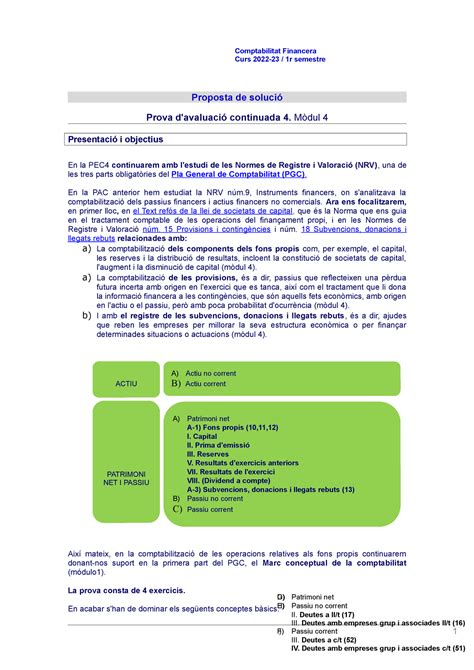 Soluci N Pac Comptabilitat Financera Curs