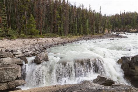 Sunwapta Falls Hike- Guide to Hiking Sunwapta Falls Trail