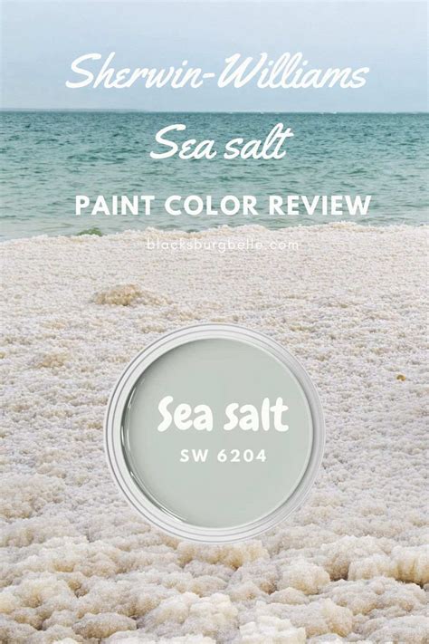 Paint Color Sea Salt Sherwin Williams Color Inspiration