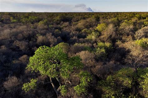 Naturaleza E Historias Del Gran Chaco Gualamba