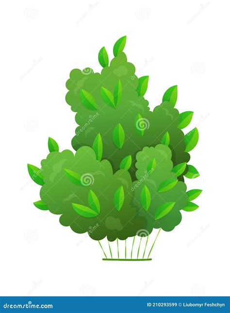 Grass Or Bushes Green Realistic Spring Grass Stock Vector Illustration Of White Natural