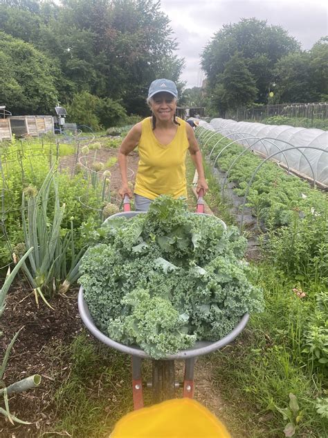 DPR Communal Farms Break Harvest Records using Bloom - Bloom Soil