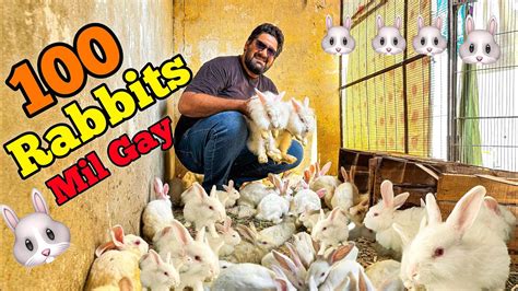 100 Rabbits Mil Gay Ab Banay Ga Platter YouTube