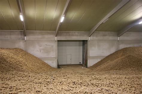 Stockage De Pomme De Terre En Vrac Gabe Tahi