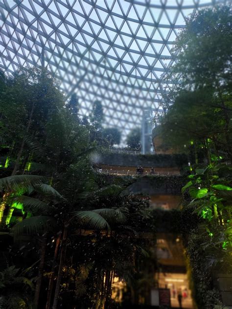 You Can Experience Snowfall At Jewel Changi Airport From 19 Nov 20 3