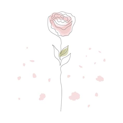 Arte De Una L Nea Continua De Flor De Rosa Dibujada A Mano Dibujo De