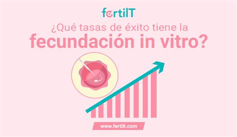 Alta Tasa De Xito En Fertilizaci N In Vitro Para Infertilidad Femenina