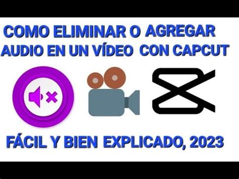 Como Eliminar O Agregar Audio En Un Video Con Capcut Facil Y Bien