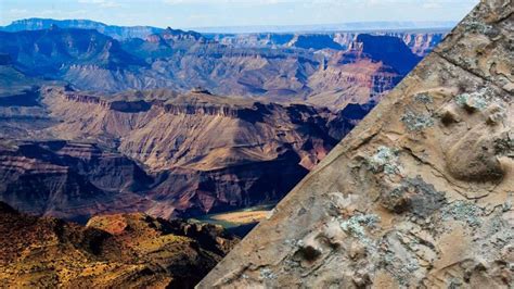 Million Year Old Fossil Footprints Discovered Within The Grand Canyon