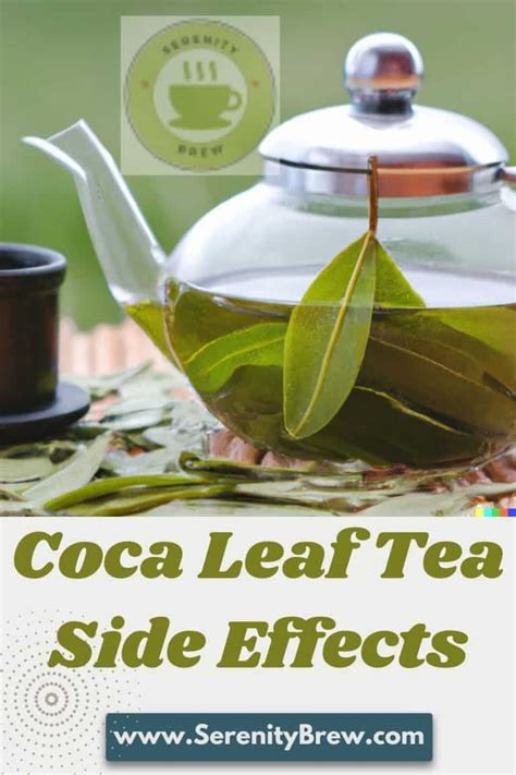 Coca Leaf Tea Side Effects Serenity Brew