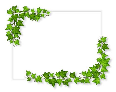 3900 Ivy Border Stock Illustrations Royalty Free Vector Graphics