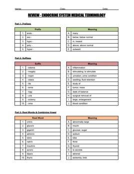 Endocrine System Medical Terminology Of Prefixes Suffixes Word Roots