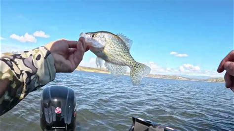 Crappies Fishing Eastman Lake 2 20 24 Youtube