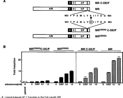 Figure 2 From Characterization Of Transactivational Property And