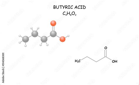 Stylized Molecule Model Structural Formula Of Butyric Acid Stock