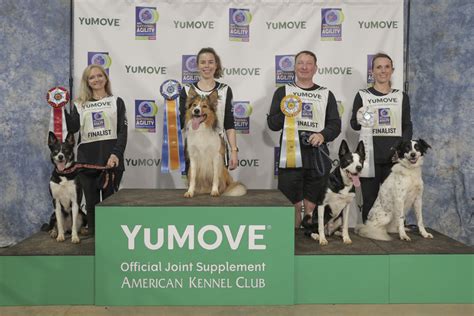 Meet The 2024 AKC National Agility Championship Winners