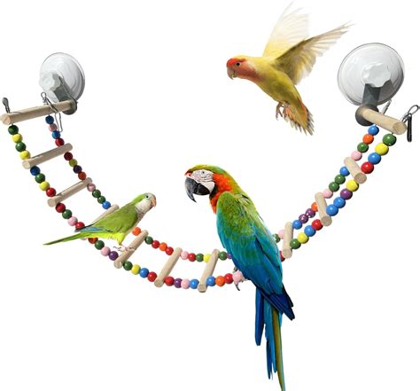 Amazon Flidrunest Colorful Bird Perch Stand Toy With Suction Cup