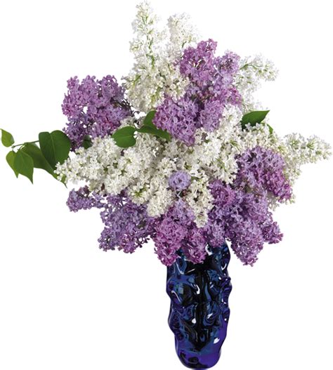 Forgetmenot Vases Flowers Bouquet Lilac Flowers Bouquet Images