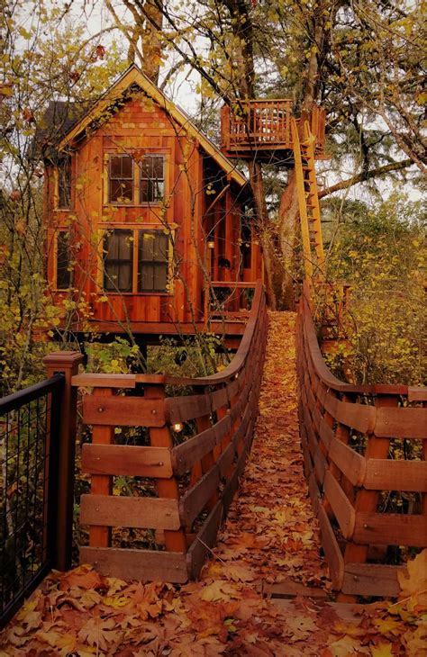 23 epic treehouse rentals in washington state worth booking – Artofit