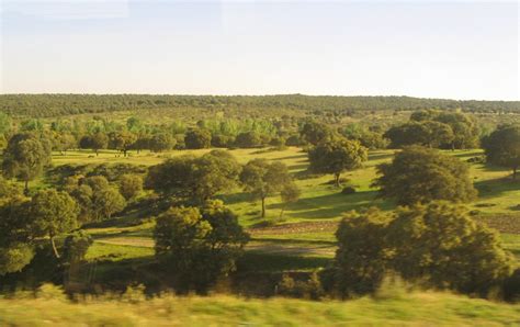 Los Paisajes Del Planeta Zona Templada