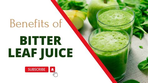 BENEFITS OF BITTER LEAF JUICE YouTube