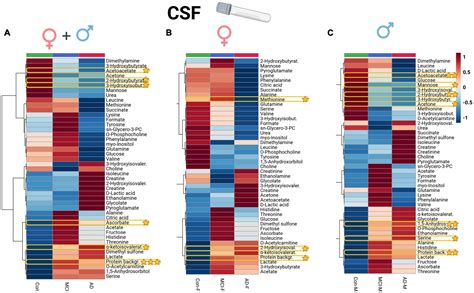 Frontiers Metabolomic Profiling Of Csf And Blood Serum Elucidates