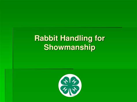 Ppt Basic 4 H Rabbit Showmanship Powerpoint Presentation Free