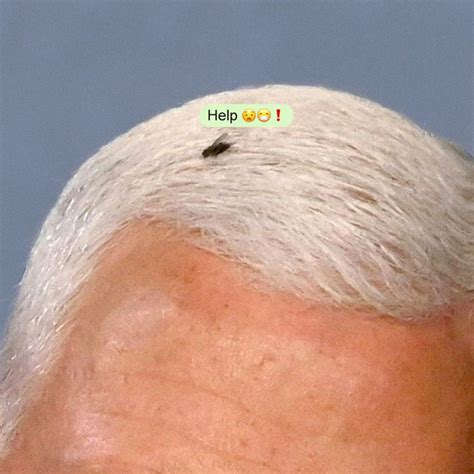 Twitter Reacts To Fly Landing on Mike Pence, Dubbing Him Lord of the Flies