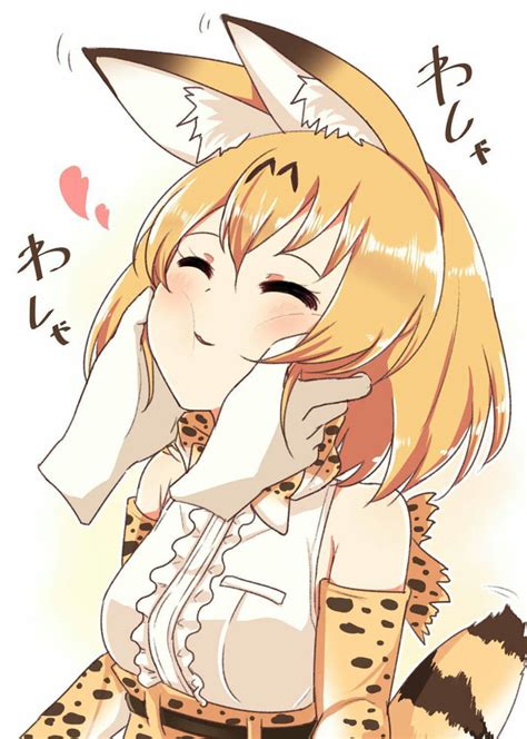 Sugoi Serval Sounds 9gag