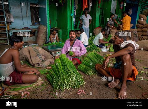 India Bengal Calcutta The Wholesale Fruit And Vegetable Market Stock