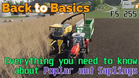 Farming Simulator Back To Basics A Beginners Guide To Poplar And