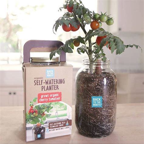 Self Watering Tomato Planter Grown Your Own Tomatoes Uncommongoods Self Watering Planter