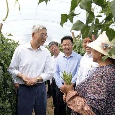 尹弘强调：坚持党建引领推动党代会部署落地见效发展乡村基层