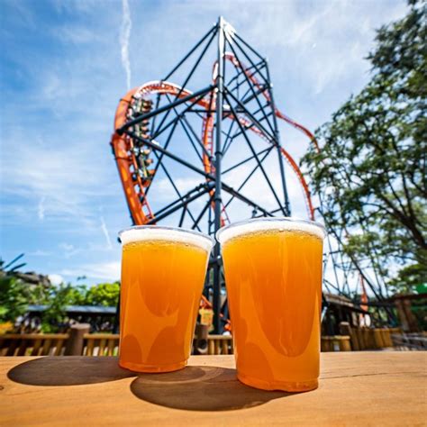 Bier Fest Festival Da Cerveja Retorna Ao Busch Gardens Tampa