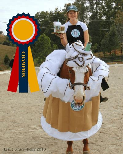 Horse and Rider Halloween Costume Ideas | Schneiders