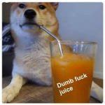 Dumb Fuck Juice Meme Generator Imgflip