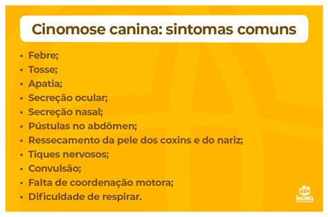 Cinomose canina entenda essa doença como prevenir e tratar Inova