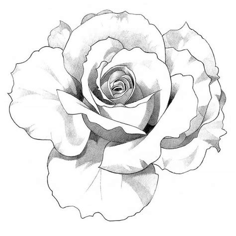 How To Draw Roses Easy Ideas And Tutorials Beautiful Dawn Designs