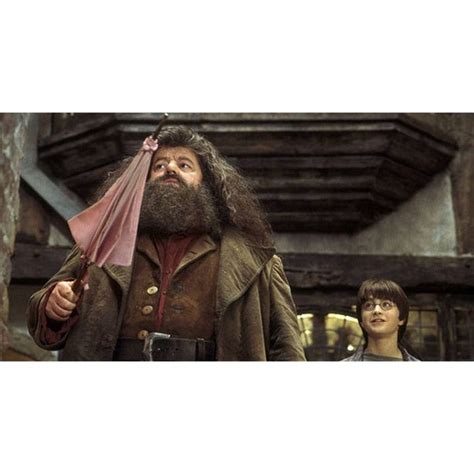 State Street Hagrid's Pink Umbrella Harry Potter Enamel Pins 94 | Grailed