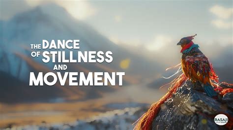 The Dance Of Stillness And Movement Youtube