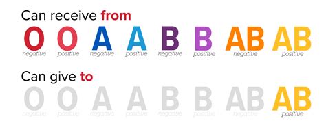 AB+ - Donate Blood - The Blood Connection