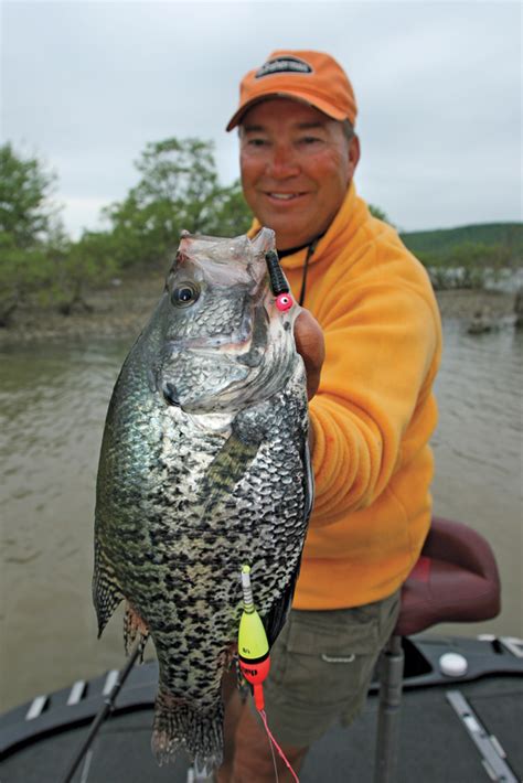 Giant Southern Crappies In Fisherman