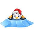 Cute Bapenguin On Ice Floe Royalty Free Vector Image