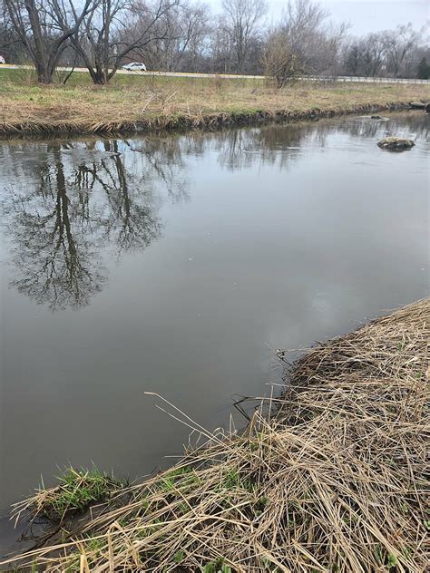 Water Quality Testing Data For East Branch Dupage River At Morton Arb