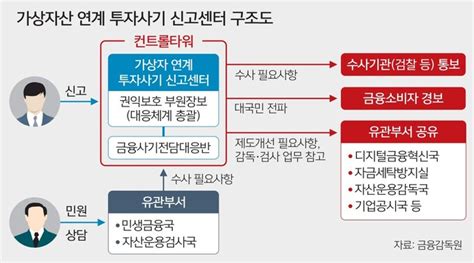 금감원 가상자산 피해신고센터 가동 네이트 뉴스