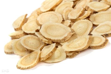 Astragalus Extract Health Care Benefits Pure Health Inside