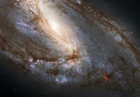 Messier 66 la galaxia más grande del Triplete de Leo El Universo Hoy