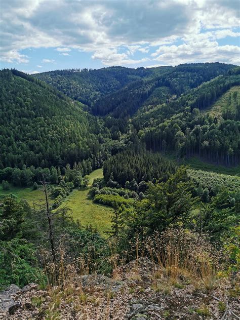 Lubawka Zielona Dot Dolny L Sk Rowerem