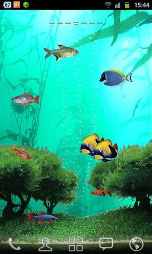 Free Fish Tank Wallpaper Animated - WallpaperSafari